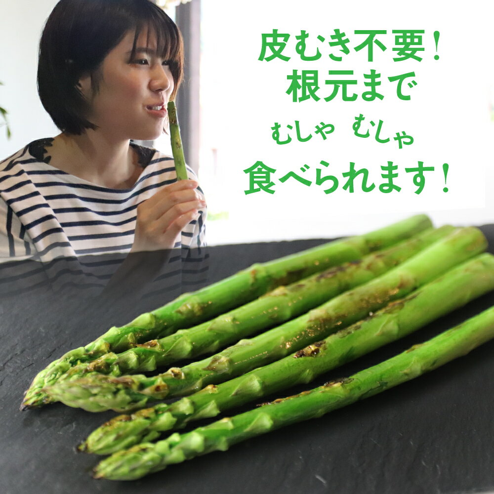 【ふるさと納税】《令和8年産 2026年先行予約受付中》根本までむしゃむしゃ食べられる柔らか甘いアスパラ 300g~1kg 500g グリーン アスパラガス　M-L L~2L 冷蔵 野菜 サラダ 天ぷら 新鮮 旬 時間指定 5000円 8000円 10000円 1万円 訳あり 不揃い 規格外 訳アリ 水村農園 サムネイル2