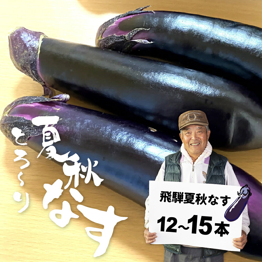 先行予約【7月上旬〜10月中旬に発送】令和8年産 飛騨 夏秋なす 約3.5kg 茄子 ナス 大なす 産地直送 夏野菜 野菜 [Q792]8000円 8千円 10000円 1万円