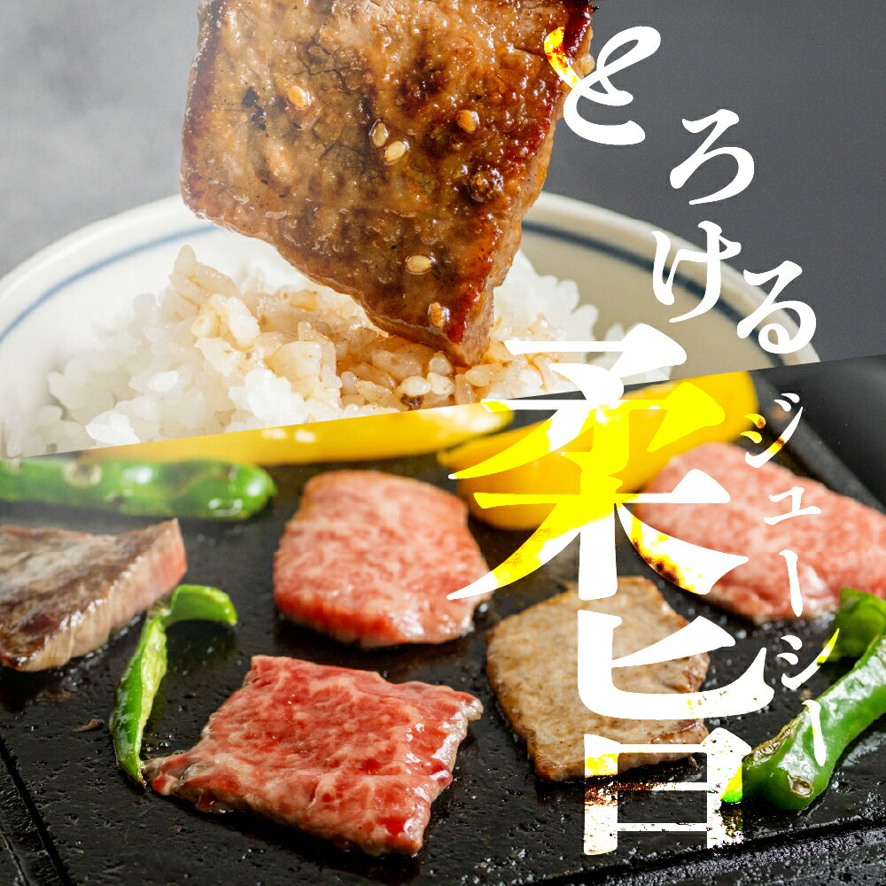 【ふるさと納税】飛騨牛 カルビ 焼肉用 500g 牛肉 和牛 肉 国産 熨斗掛け バーベキュー 焼き肉 カルビ A4 A5 化粧箱 ギフト 熨斗 人気 時間指定 冷凍便 冷凍発送[Q3002] お中元 ギフト 御中元 お歳暮 サムネイル3
