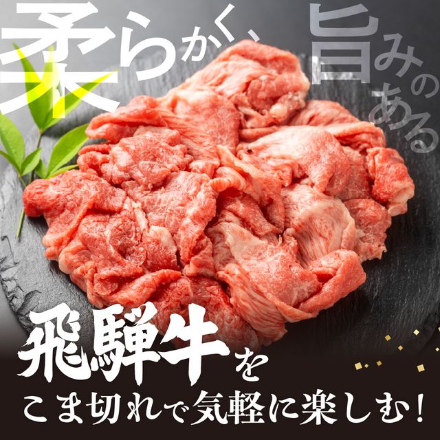【ふるさと納税】【訳あり】飛騨牛 こま切れ 1kg 小分け 500g×2 小間切れ こまぎれ 切り落とし 切落し 訳アリ わけあり ワケアリ 不揃い 牛 肉 牛肉 国産牛 黒毛和牛 牛丼 焼肉 冷凍発送 時間指定 飛騨牛 飛騨市［Q3006］24000円 サムネイル2