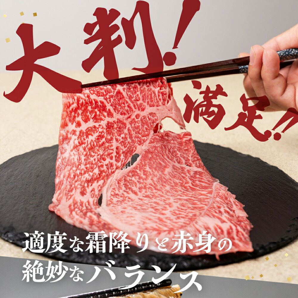 【ふるさと納税】訳あり 飛騨牛 赤身スライス すきしゃぶ用 すき焼き しゃぶしゃぶ用 500g すきやき 牛肉 和牛 黒毛和牛 肉 国産 ギフト 贈り物 すきやき スキヤキ 赤身 飛騨市 冷凍発送 わけあり ワケアリ 12月発送 年内配送 [Q3003] 20000円 2万円 サムネイル2