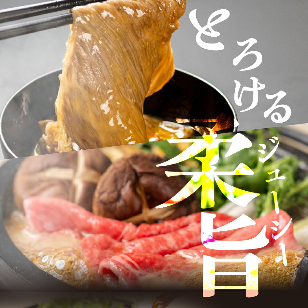 【ふるさと納税】訳あり 飛騨牛 赤身スライス すきしゃぶ用 すき焼き しゃぶしゃぶ用 500g すきやき 牛肉 和牛 黒毛和牛 肉 国産 ギフト 贈り物 すきやき スキヤキ 赤身 飛騨市 冷凍発送 わけあり ワケアリ 12月発送 年内配送 [Q3003] 20000円 2万円 サムネイル3