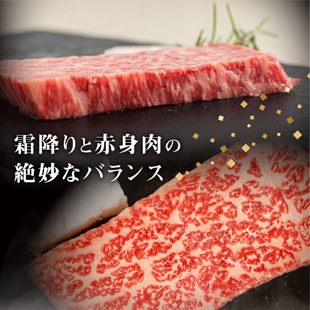 【ふるさと納税】飛騨牛 赤身ステーキ 3枚 (100g × 3枚 ) ステーキ ステーキ肉 牛肉 和牛 肉 赤身肉 国産牛 和牛 ステーキ ブランド牛 飛騨牛 牛肉 肉 高級 人気 おすすめ 飛騨市 赤身 国産 冷凍発送［Q3004］ サムネイル2