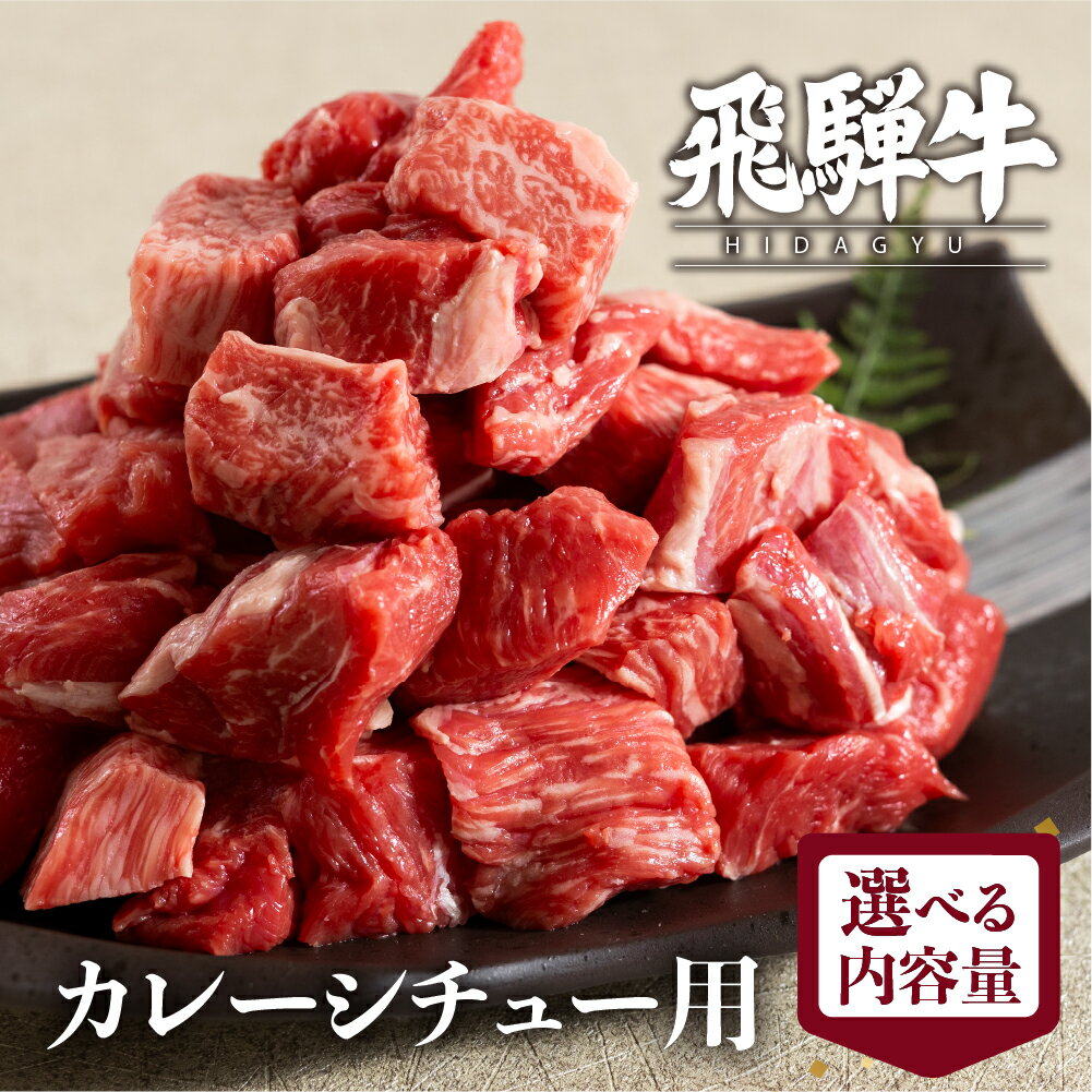 飛騨牛 カレーシチュー用 500g 800g スネ肉等 牛肉 和牛 肉 国産 カレー 煮込み ビーフシチュー ［Q3005］