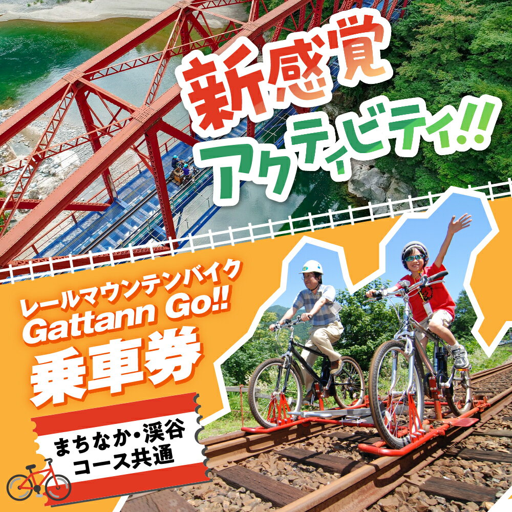 【まちなか・渓谷コース共通】レールマウンテンバイクGattann Go!! 特別ご乗車券 飛騨神岡 体験 子供 キッズ チケット ガッタンゴー アクティビティ 屋外[B0264pi]17000円