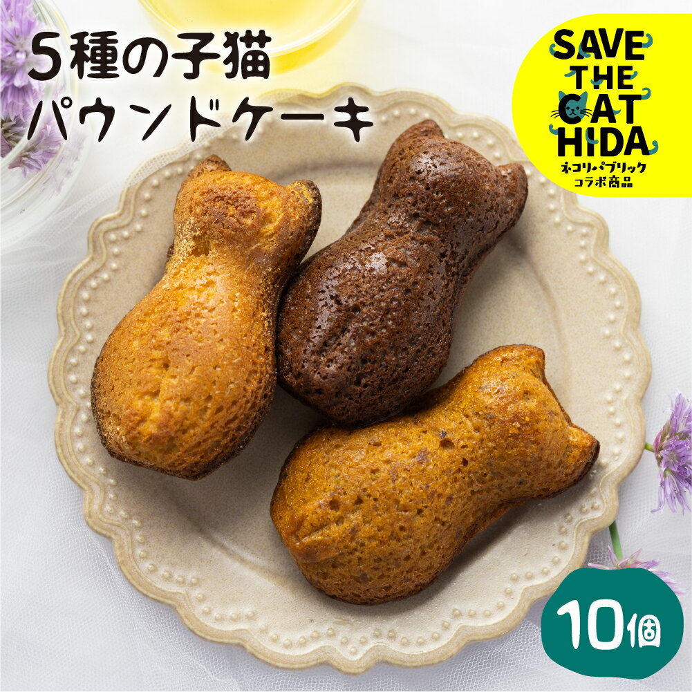 5種の子猫のパウンドケーキ スイーツ ケーキ 焼き菓子 ケーキ 焼菓子 かわいい プレゼント ギフト 贈答用(SAVE THE CAT HIDA支援) 猫 ねこ 1万 1000円 ネコ 支援 応援