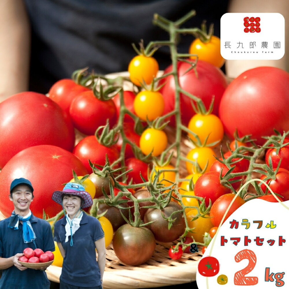 先行予約《夏季限定》2026年分 雪解け水で育ったカラフルな濃厚トマト2kgセット（大玉・ミニトマト）産地直送 野菜 トマト ミニトマト プチ 2キロ とまと 朝採れ 美味しい 新鮮 いろいろ セット 飛騨市 [A0018_26] 12000円