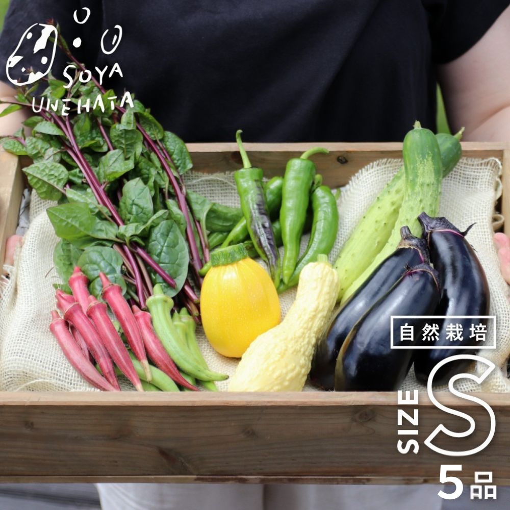 令和8年産 2026年発送《先行予約》野菜セット 5品 自然栽培 野菜BOX・Sサイズ 夏野菜 秋野菜 ピーマン ナス きゅうり オクラ ズッキーニ 自家採種 [A0092x]8000円 8千円