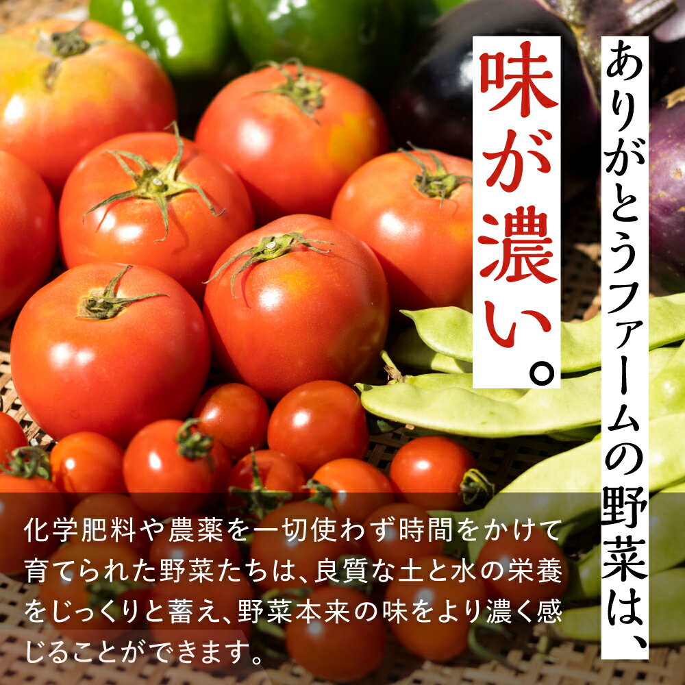 【ふるさと納税】【令和8年産先行予約受付中】野菜の栄養価コンテストグランプリ農家が贈る 無農薬栽培野菜セット 6-7品 ありがとうファーム お野菜のレシピ付き 選べるお届け時期 無農薬 野菜 セット 味噌 糀 おまかせ お楽しみ 10000円 - 画像3