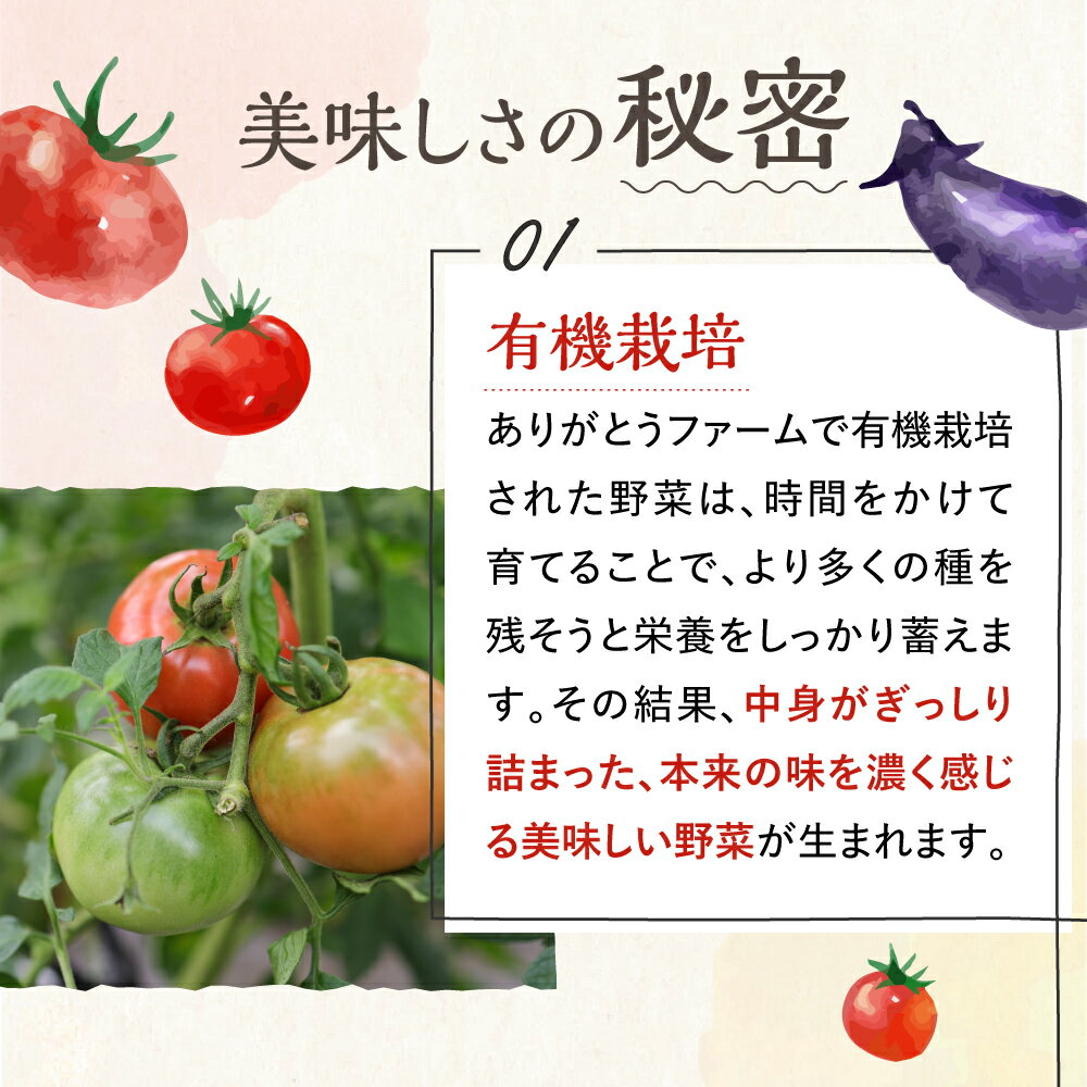 【ふるさと納税】《数量限定》訳あり 不揃い ひだかみ流葉 酵素ライフ 有機人参 高栄養価！ 6kg ゲルソン療法にもぜひご活用下さい！にんじん ニンジン 人参 訳アリ わけあり ワケアリ 家庭用 [Q2659] 10000円 1万円 - 画像3