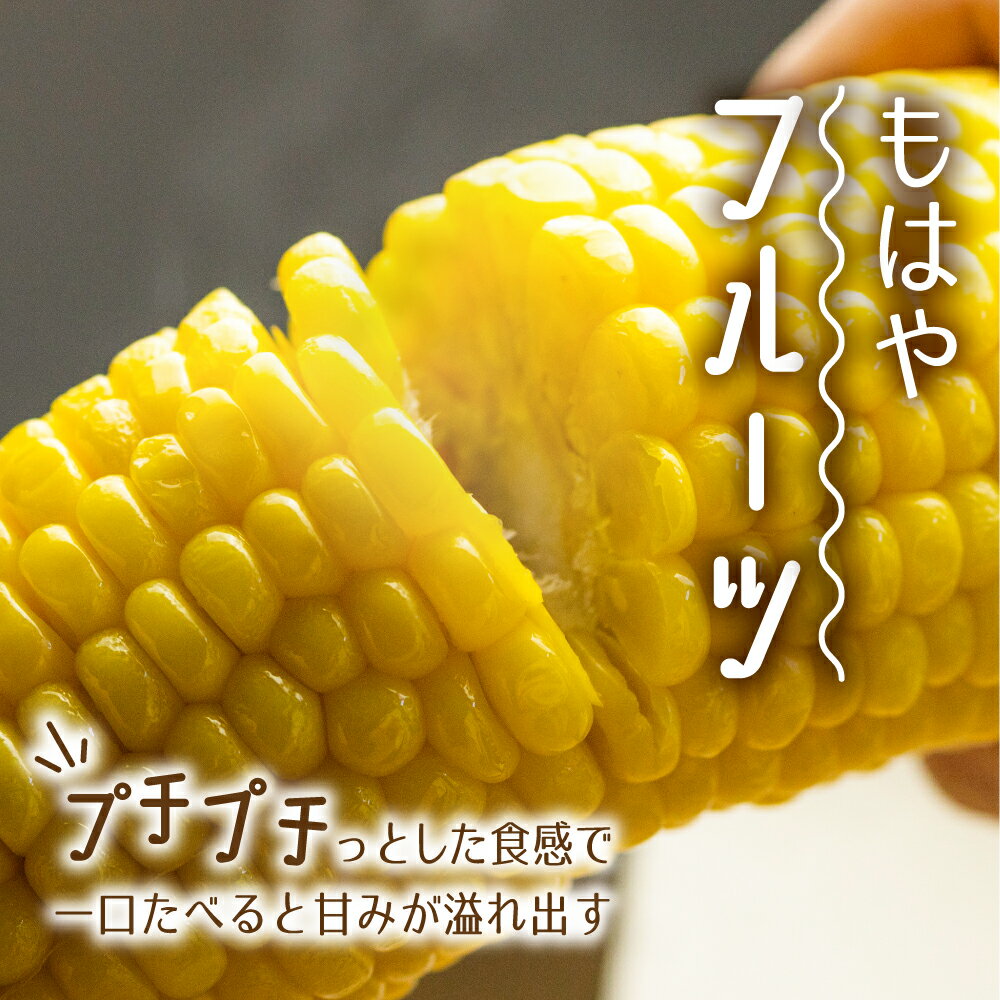【ふるさと納税】《先行予約・数量限定》まるでフルーツ！特別栽培 トウモロコシ 激甘！極旨のスーパースイート系トウモロコシ「カミオカスターコーン」令和8年産 選べる内容量 甘い コーン とうもろこし おいしい あまい 野菜 果物 夏 BBQ 焼肉 贈答 ギフト[B0107] 12000円 サムネイル2