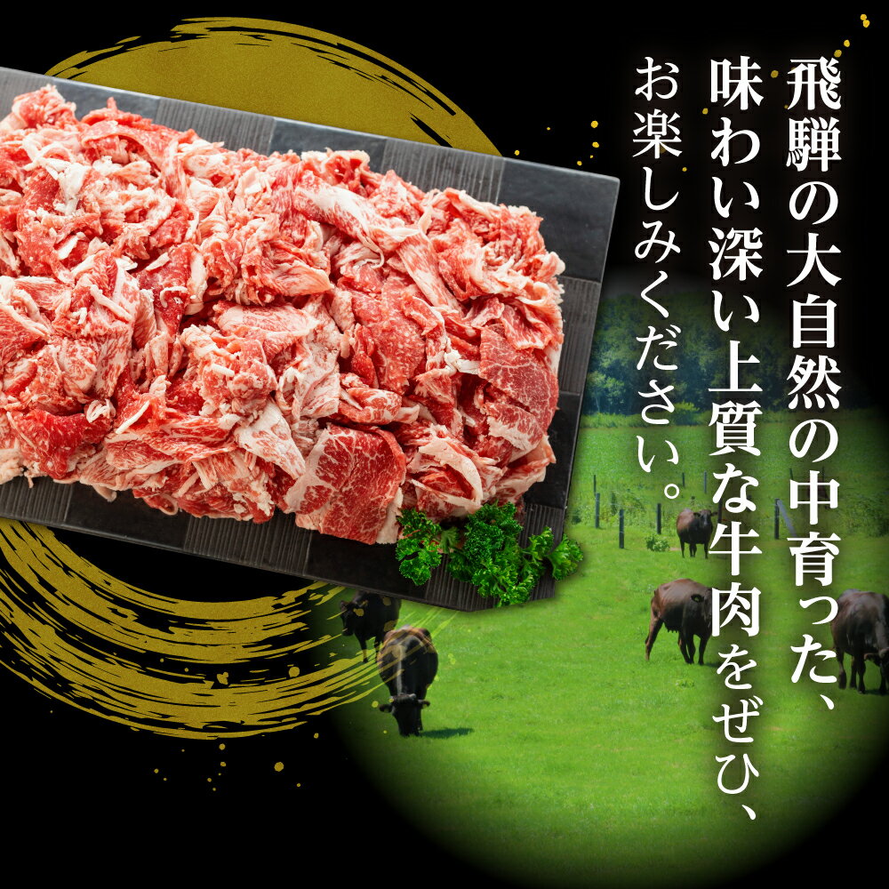 【ふるさと納税】《選べる内容量・定期便》飛米牛 切落しスライス 300g 〜 1.8kg すぐ届く 発送 スライス 黒毛和牛 和牛 牛肉 肉 国産牛 定期 定期便 牛丼 焼肉 切落し 不揃い 切り落とし 訳アリ 訳あり わけあり 小分け 使い切り 大容量 7000円 10000円 1万円 どやな飛騨市 サムネイル3