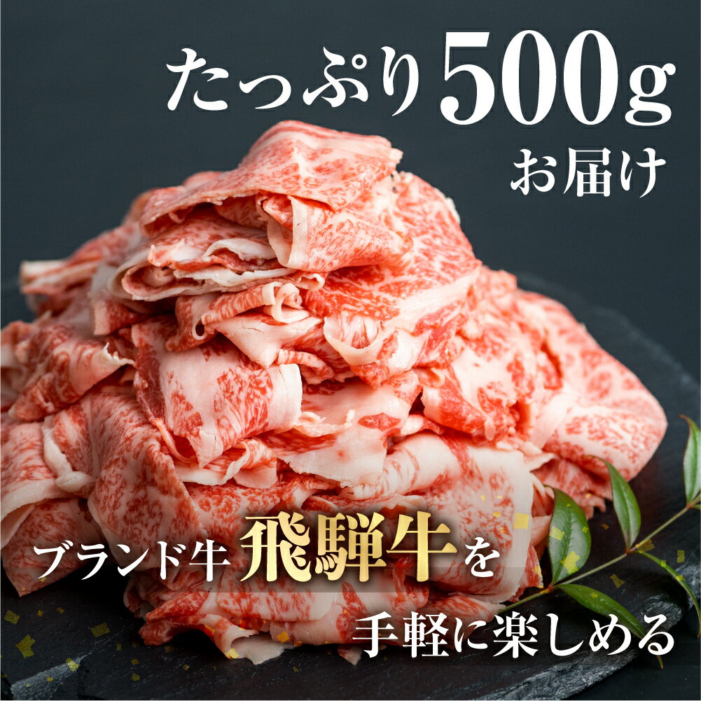 【ふるさと納税】飛騨牛 切り落としスライス 500g 1kg 選べる内容量 小分け すぐ 届く 発送 焼肉 牛肉 黒毛和牛 和牛 すき焼き 焼き肉 しゃぶしゃぶ 訳アリ わけあり ワケアリ 不揃い 部位おまかせ 煮物 飛騨［Q1020x Q1024x］12000円 24000円 サムネイル2