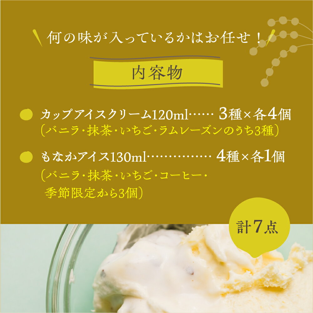 【ふるさと納税】＜選べる内容量＞アイスクリーム福袋セット 飛騨のミルクの旨味たっぷり 訳あり 訳アリ わけあり ワケアリ 不揃い アイス スイーツ アイスクリーム 福袋 大カップ入り 訳あり 大容量 お徳用 牧成舎 飛騨市 [Q123] ミルクPJ サムネイル2