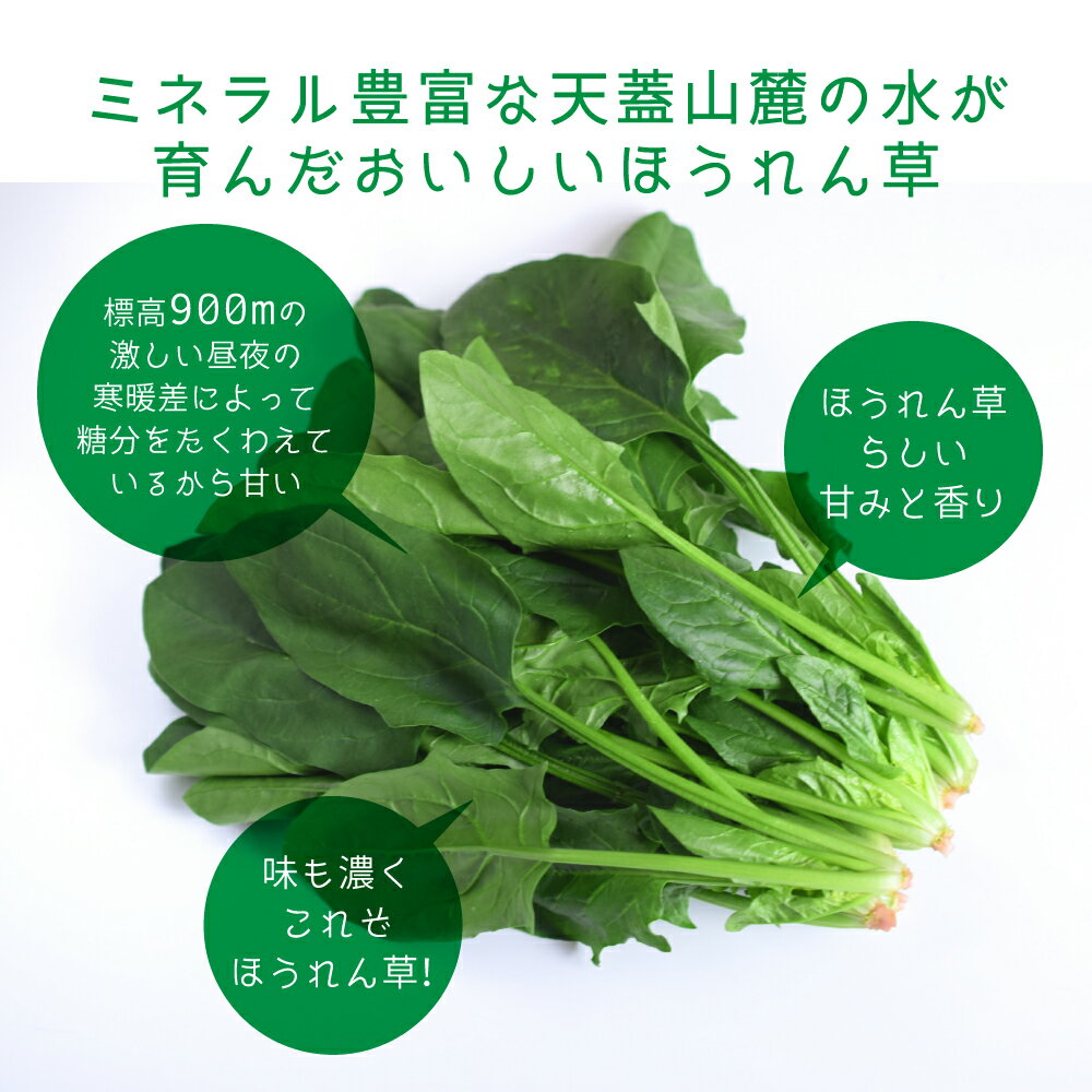 【ふるさと納税】《先行予約》 令和8年産 奥飛騨山之村 清水さんちの肉厚ほうれん草 180g×2~5袋 野菜 葉物野菜 ホウレンソウ ほうれんそう 小分け 個包装 産地直送 飛騨市 [Q1287] 5000円 5千円 10000円 1万円 - 画像3