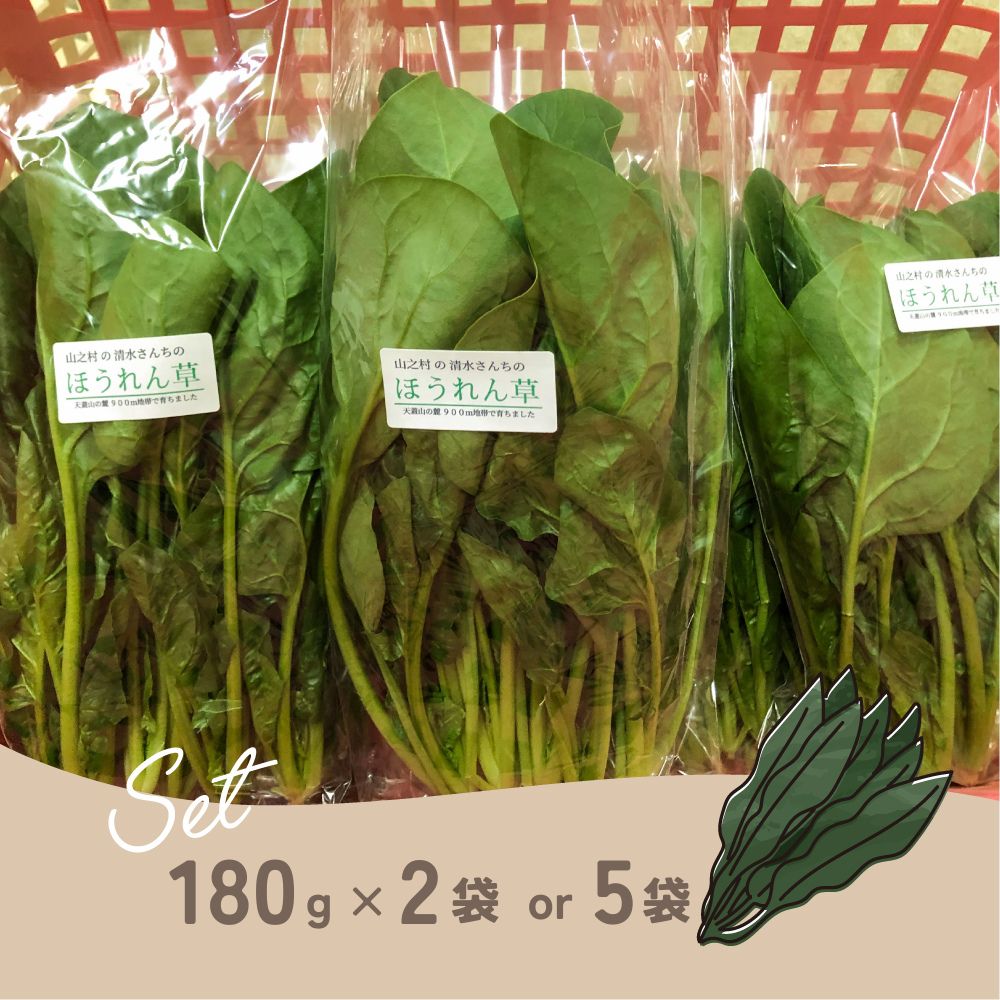【ふるさと納税】《先行予約》 令和8年産 奥飛騨山之村 清水さんちの肉厚ほうれん草 180g×2~5袋 野菜 葉物野菜 ホウレンソウ ほうれんそう 小分け 個包装 産地直送 飛騨市 [Q1287] 5000円 5千円 10000円 1万円 - 画像2