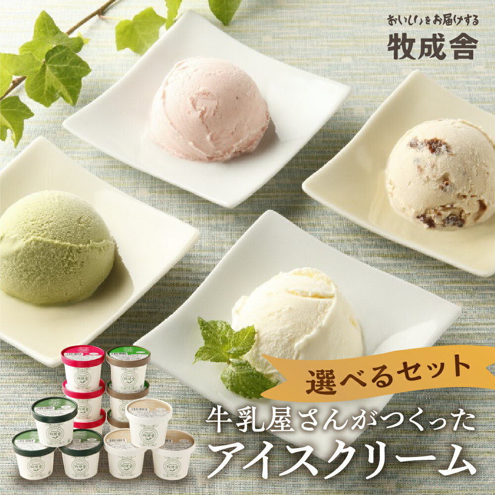 選べる内容量 飛騨のミルクの旨みたっぷりアイスクリーム 12個 セット 詰め合わせ バニラ 抹茶 いちご ラムレーズン アイスクリーム アイス ギフト スイーツ [Q1312]プレゼント 1万円 10000円 飛騨市 牧成舎