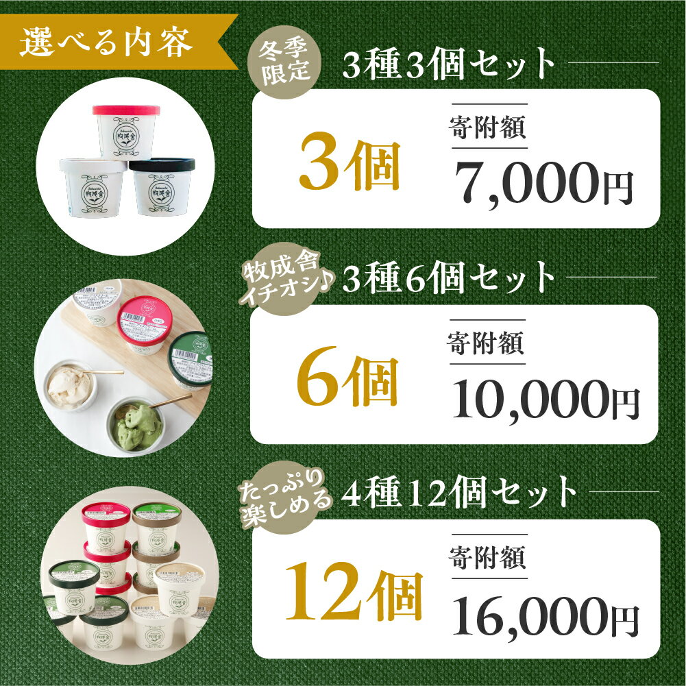 【ふるさと納税】選べる内容量 飛騨のミルクの旨みたっぷりアイスクリーム 12個 セット 詰め合わせ バニラ 抹茶 いちご ラムレーズン アイスクリーム アイス ギフト スイーツ [Q1312]プレゼント 1万円 10000円 飛騨市 牧成舎 サムネイル3