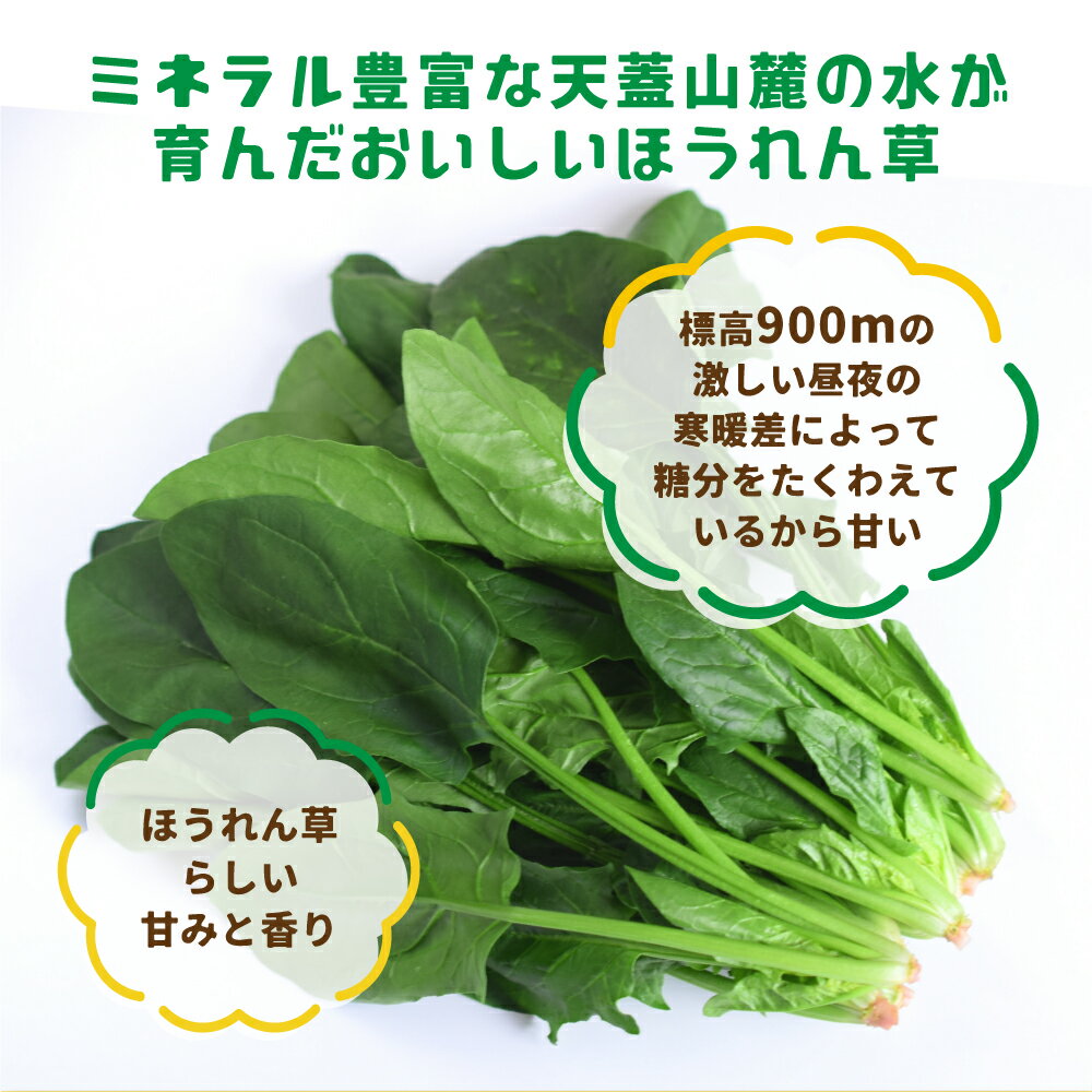 【ふるさと納税】令和8年産《先行予約》【6月〜10月発送】奥飛騨山之村 清水さんちのほうれん草180g×2・山之村牧場 スライスベーコン 100g セット 野菜 葉物野菜 ホウレンソウ ほうれんそう 旬 簡単調理 小分け 産地直送 ベーコン [Q1536_u] - 画像3