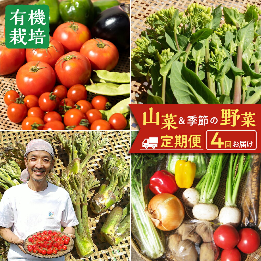 4月から11月にお届け！栄養価コンテストグランプリ農家がお届けする 飛騨の四季 山菜と野菜尽くしセット 定期便 年4回 お届け 定期便 お野菜のレシピ付き 野菜 定期便 お楽しみ [Q1701] 45000円 《hida0307》 どやな飛騨市
