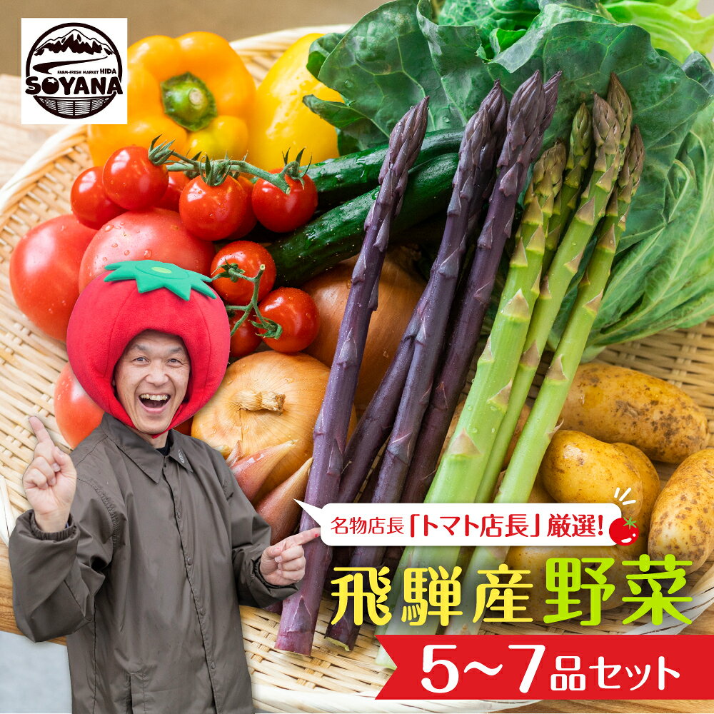 【先行予約】2026年7月からお届け！旬の野菜の定期便 飛騨産直市そやな直送 トマト店長厳選 飛騨産 旬の野菜セット 野菜セット 定期便 2回 3回 おまかせ 詰め合わせ 産地直送 《hida0307》7000円 10000円 1万円 どやな飛騨市