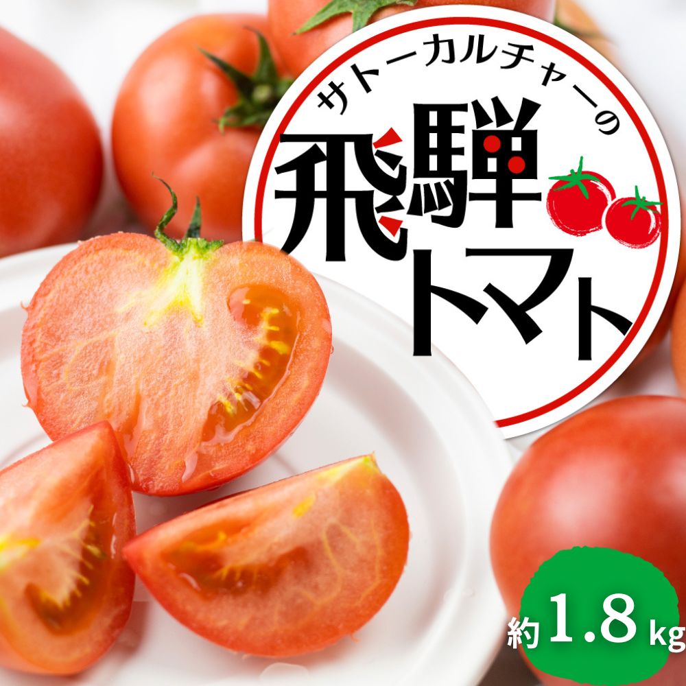 《令和8年産先行予約受付中 2026年産》定期便 飛騨トマト 約1.8kg（8−12玉） 約4kg 単品 産地直送 野菜 とまと トマト 夏トマト 秋トマト 麗月 夏野菜 やさい 農家直送 サトーカルチャー