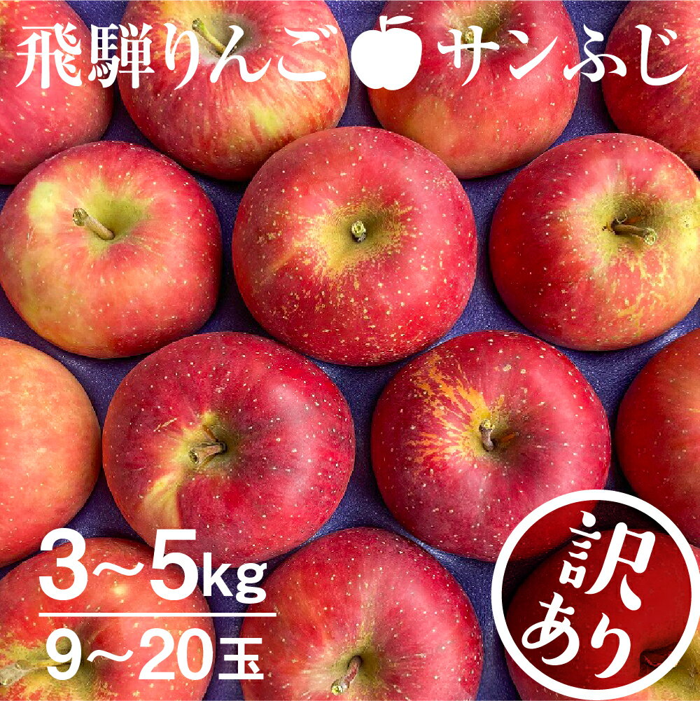 《2026年先行予約》りんご【2026年12月中旬〜1月上旬発送】りんご サンふじ 3kg 約5kg 15〜20玉 飛騨りんご 林檎 黒内果樹園 果物 国産 飛騨産 ご家庭用 家庭用 無袋栽培 訳あり 訳アリ 規格外 わけあり ワケアリ 不揃い 家庭用 [Q843]10000円 1万円
