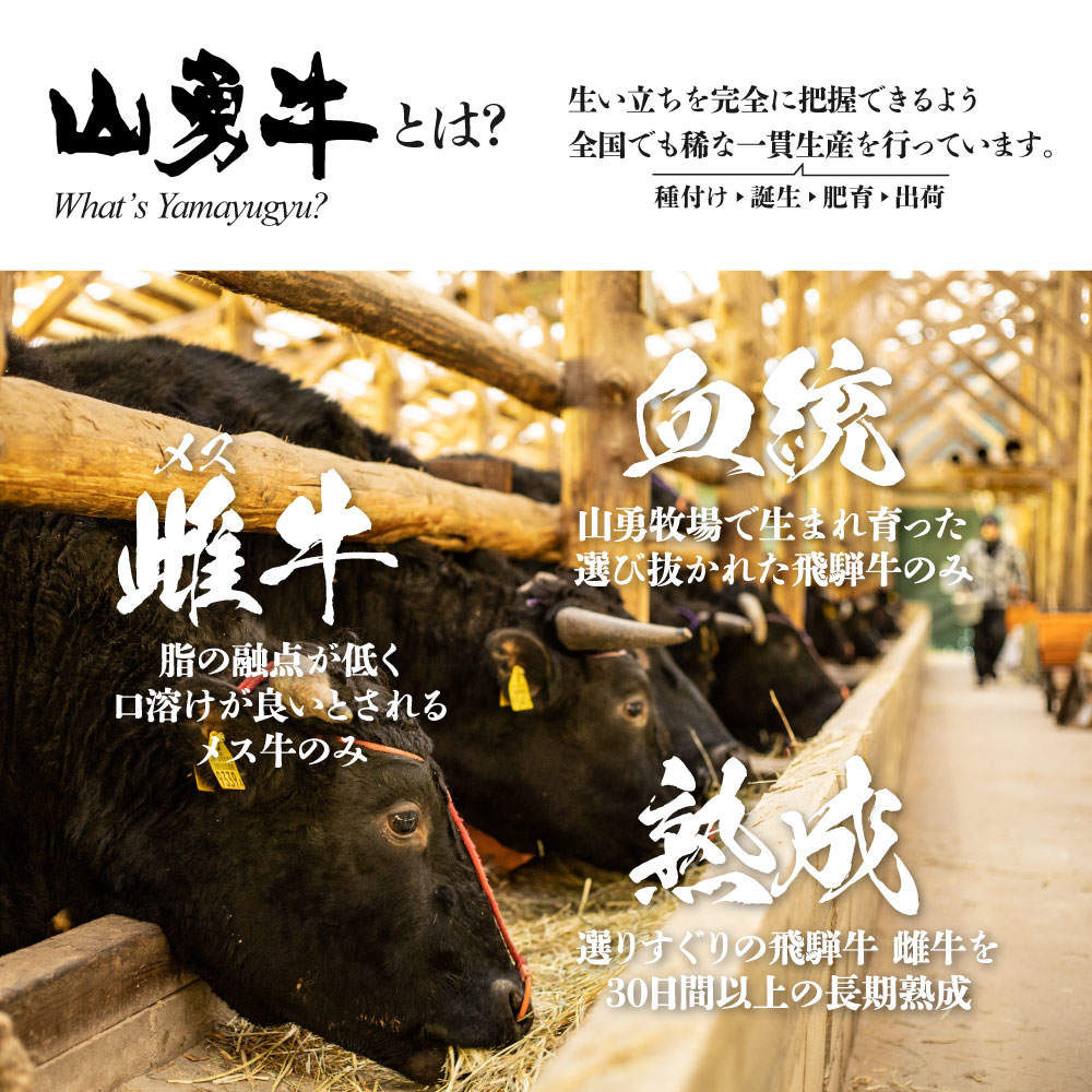 【ふるさと納税】飛騨牛 『山勇牛』すね肉等 カレーシチュー用 600g 角切り牛肉　30日以上熟成/A4・A5ランク飛騨牛 熟成肉 牛肉 和牛 肉 カレー用　シチュー用　角切り　煮込み用［B0061］2万円 20000円 飛騨市 サムネイル3