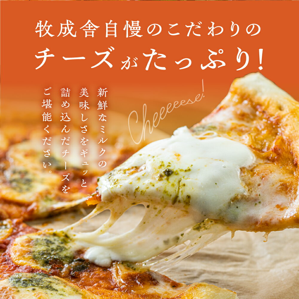 【ふるさと納税】＜牧成舎＞ミルクの旨みたっぷりセット（アイス＆ピザ）クリスマス パーティー[Q1800] - 画像3