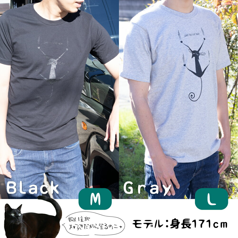 【ふるさと納税】【訳あり】肌触りの良いコットンの猫Tシャツ 男女兼用 選べるサイズ(SAVE THE CAT HIDA支援) 猫 ねこ ネコ かわいい 可愛い[neko_j_66_u]7000円 7千円 サムネイル3