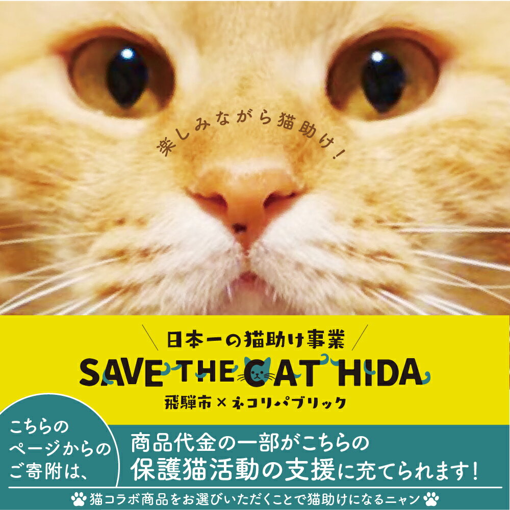 【ふるさと納税】レモン猫 檸檬ケーキ 5個 レモンケーキ 焼き菓子 スイーツ プレゼント ギフト 手土産 菓子折り お菓子 個包装 大久保製菓舗 (SAVE THE CAT HIDA支援) ネコ 猫 ねこ 支援 保護 8000円 8千円 [neko_j_55_u] サムネイル2