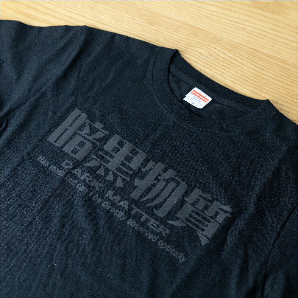 【ふるさと納税】暗黒Tシャツ メンズ レディース 半袖 黒 夏服 ブラック ロゴ 14000円 ［Q1306x］ サムネイル2