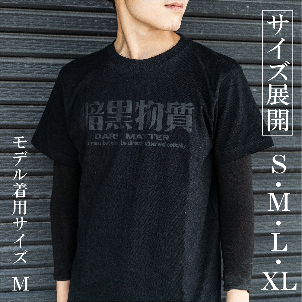 【ふるさと納税】暗黒Tシャツ メンズ レディース 半袖 黒 夏服 ブラック ロゴ 14000円 ［Q1306x］ サムネイル3