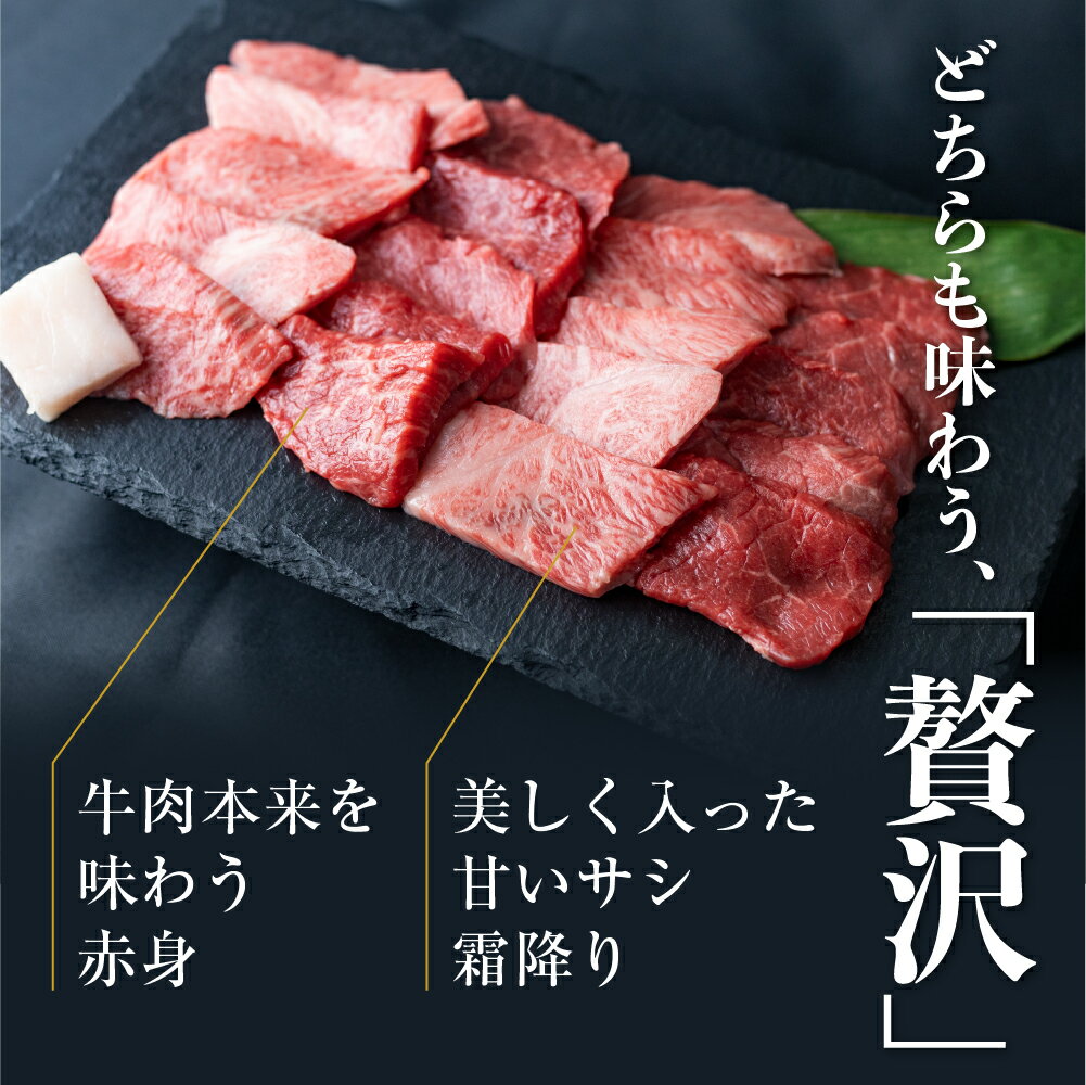 【ふるさと納税】焼肉 切り落とし 500g 飛騨の牧場で育った熟成飛騨牛『山勇牛』 A4 A5 切落し 訳あり 訳アリ わけあり ワケアリ 不揃い ミックス 牛肉 肉 和牛 国産 希少部位入り 飛騨牛 訳あり 岐阜県飛騨市 [D0025] サムネイル3
