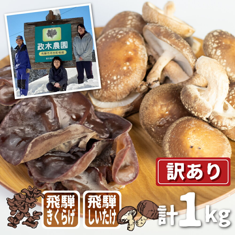 【11月上旬〜3月下旬】菌床しいたけ・生きくらげセット 計1kg 食べ比べ 政木農園 肉厚 椎茸 しいたけ シイタケ キクラゲ 飛騨 簡易包装 訳アリ わけあり ワケアリ 家庭用 大容量 旬 [Q948x] 10000円 1万円 《hida0307》