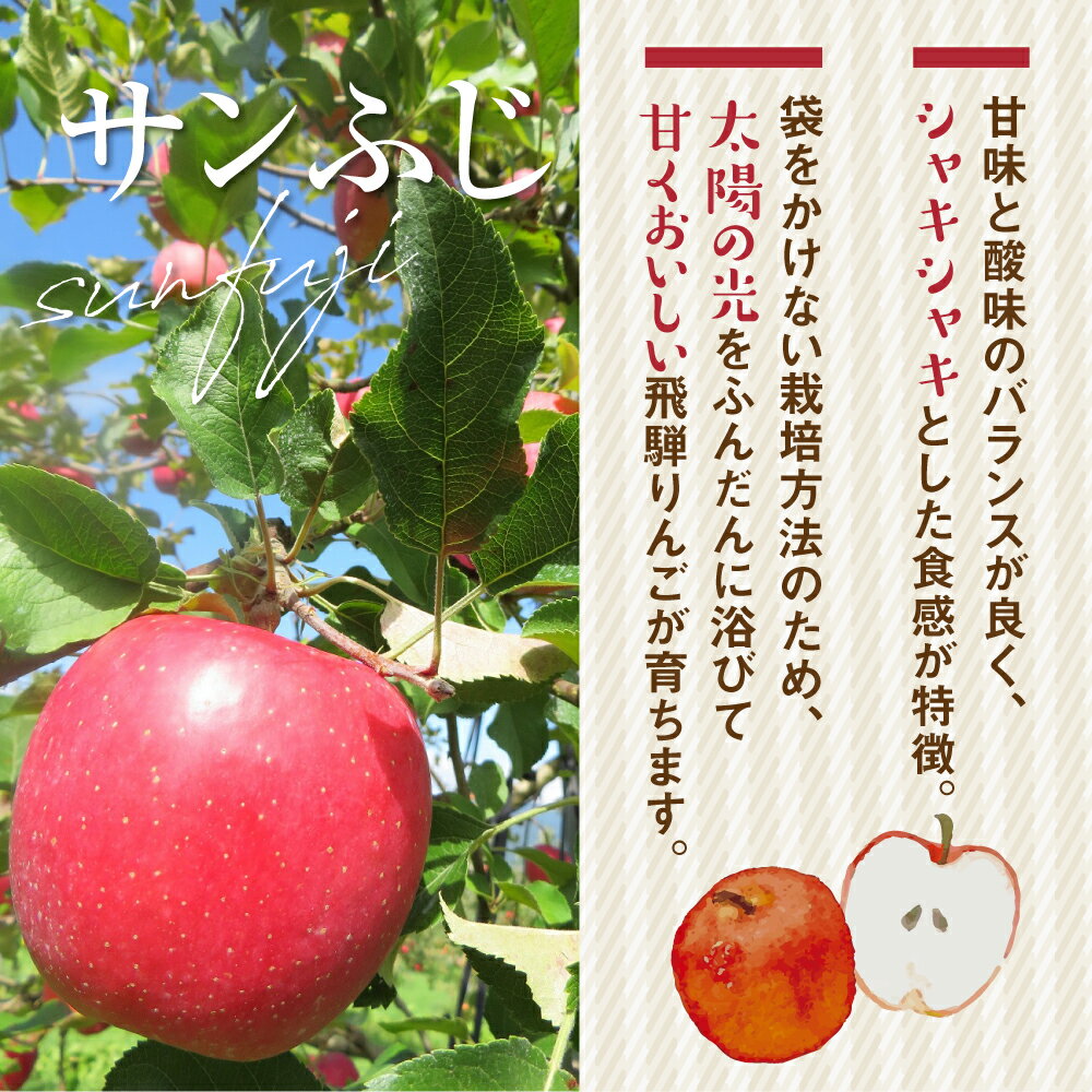 【ふるさと納税】《2026年先行予約》りんご【2026年12月中旬〜1月上旬発送】りんご サンふじ 3kg 約5kg 15〜20玉 飛騨りんご 林檎 黒内果樹園 果物 国産 飛騨産 ご家庭用 家庭用 無袋栽培 訳あり 訳アリ 規格外 わけあり ワケアリ 不揃い 家庭用 [Q843]10000円 1万円 - 画像3