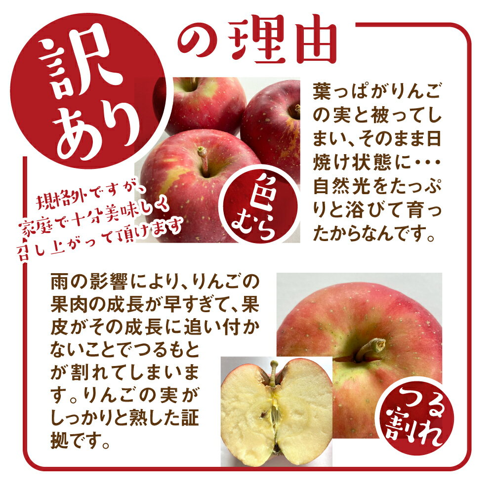 【ふるさと納税】《2026年先行予約》りんご【2026年12月中旬〜1月上旬発送】りんご サンふじ 3kg 約5kg 15〜20玉 飛騨りんご 林檎 黒内果樹園 果物 国産 飛騨産 ご家庭用 家庭用 無袋栽培 訳あり 訳アリ 規格外 わけあり ワケアリ 不揃い 家庭用 [Q843]10000円 1万円 - 画像3