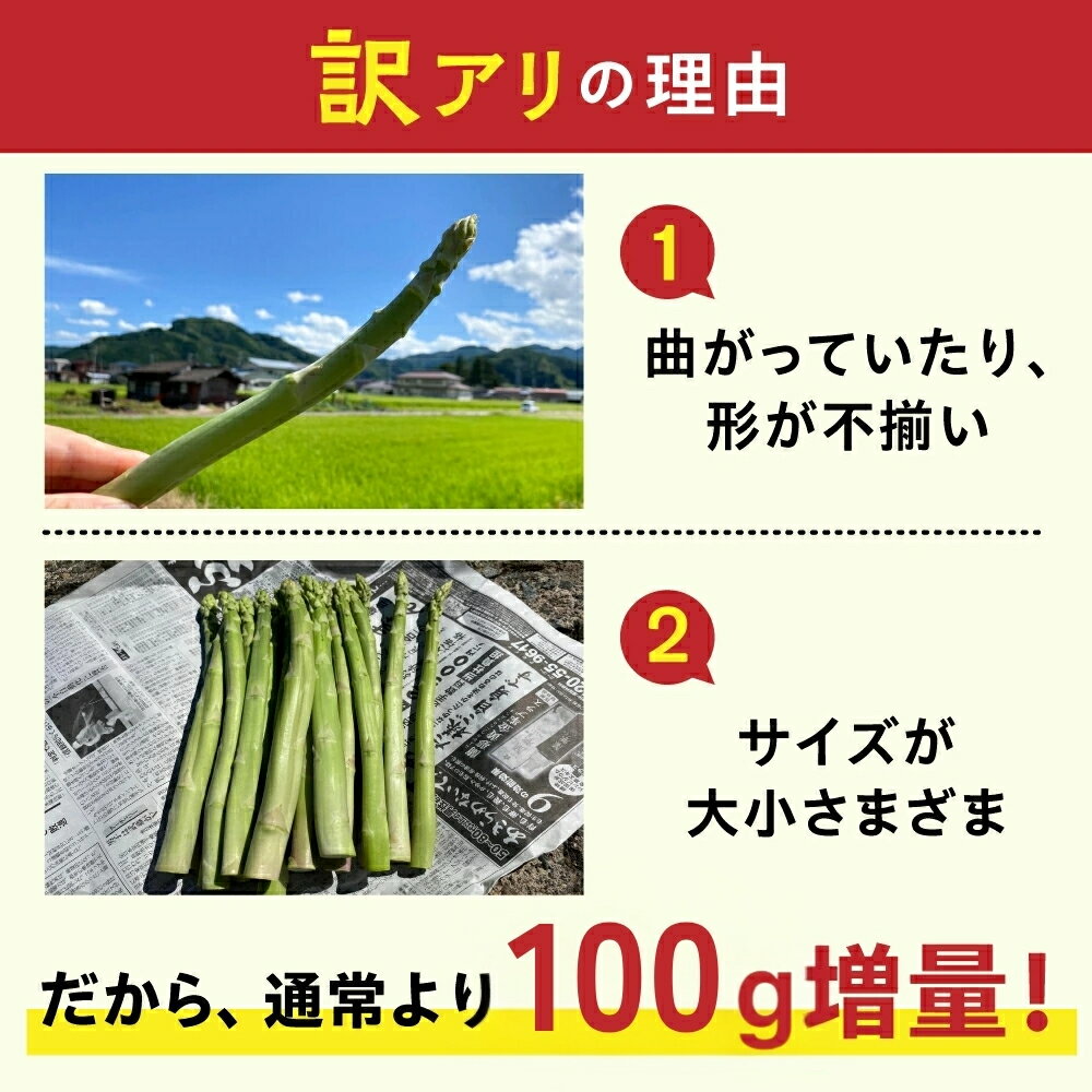 【ふるさと納税】《令和8年産 2026年先行予約受付中》訳あり 水村農園 飛騨のきれいな水と激しい寒暖差が育んだ柔らか甘いアスパラグリーン アスパラガス 2026年 配送 サラダ 天ぷら 新鮮 時間指定 わけあり 訳アリ [Q1957rex] 5000円 飛騨市 - 画像2