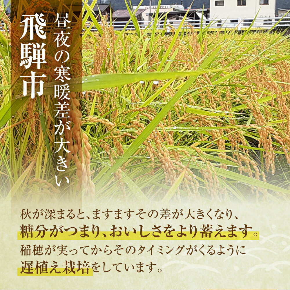 【ふるさと納税】 令和7年産 新米 飛騨の蔵出し コシヒカリ 選べる 10kg 20kg 10キロ 20キロ こしひかり 米 こめ コメ お米 精米 白米 精白米 2025年 [Q2227] - 画像3