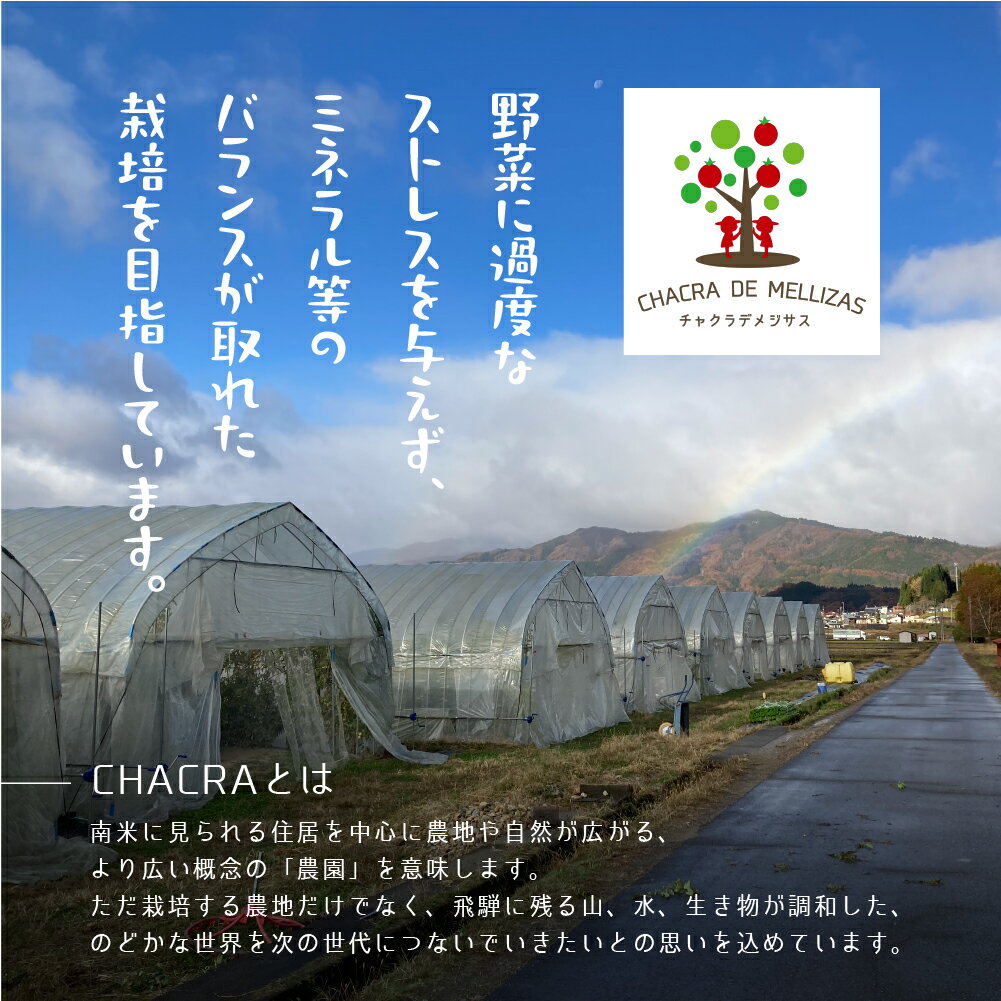 【ふるさと納税】《先行予約》ひだまりメロン 2個 CHACRA DE MELLIZAS 令和8年産 メロン フルーツ 果物 くだもの 夏 めろん［Q1823x_26］24000円 サムネイル2