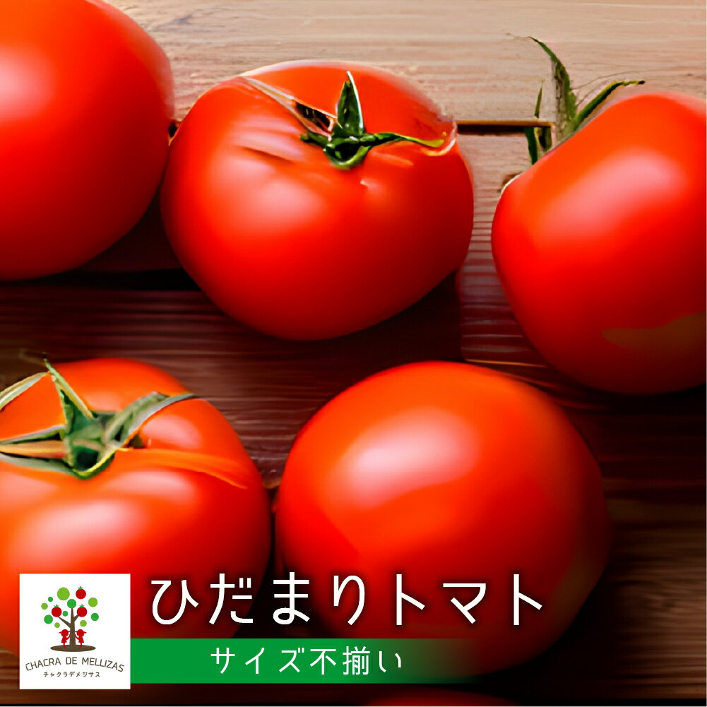 《先行予約》《 訳あり 1.7kg 》 サイズ 不揃い CHACRA DE MELLIZASのひだまりとまと 1.7kg 令和8年産 トマト 野菜 夏野菜 トマト わけあり 訳あり ワケアリ 不揃い［Q1824wx］10000円 1万円《hida0307》