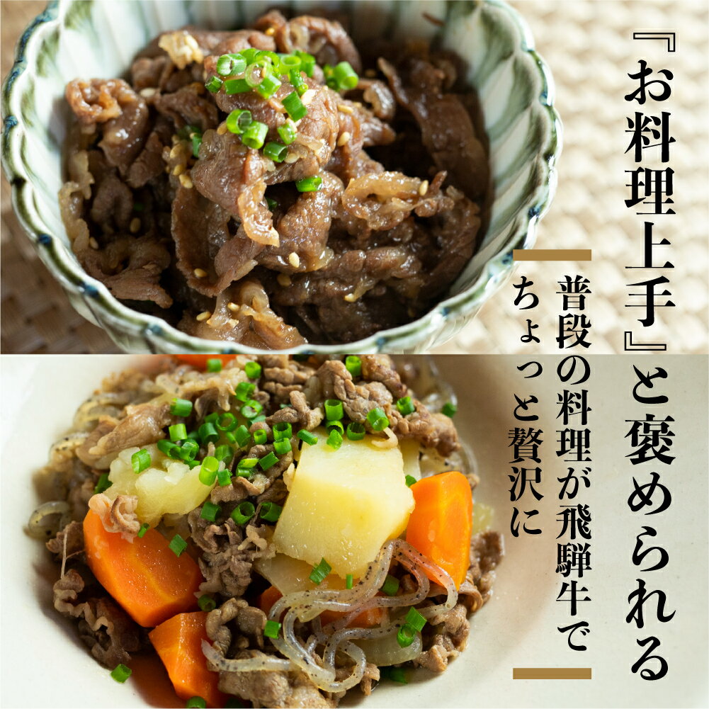 【ふるさと納税】【訳あり】飛騨牛 こま切れ 1kg 小分け 500g×2 小間切れ こまぎれ 切り落とし 切落し 訳アリ わけあり ワケアリ 不揃い 牛 肉 牛肉 国産牛 黒毛和牛 牛丼 焼肉 冷凍発送 時間指定 飛騨牛 飛騨市［Q3006］24000円 サムネイル3