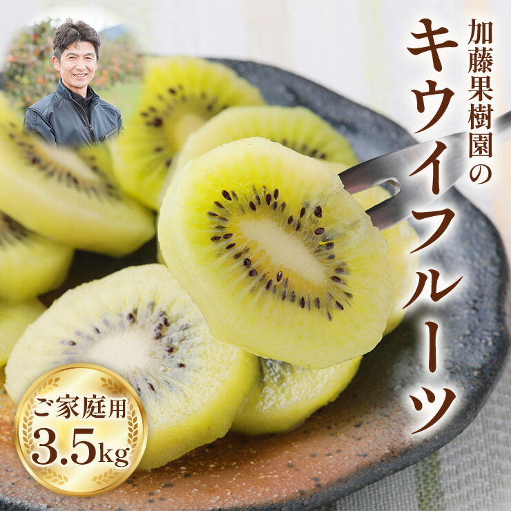 【2026年 先行予約】加藤果樹園のキウイフルーツ 家庭用 訳あり 訳アリ 3.5kg 24〜30個 L〜3Lサイズ 1月上旬〜3月中旬発送 フルーツ 果物 くだもの 産地直送 お取り寄せ キウイ [1041] 10000円 一万円