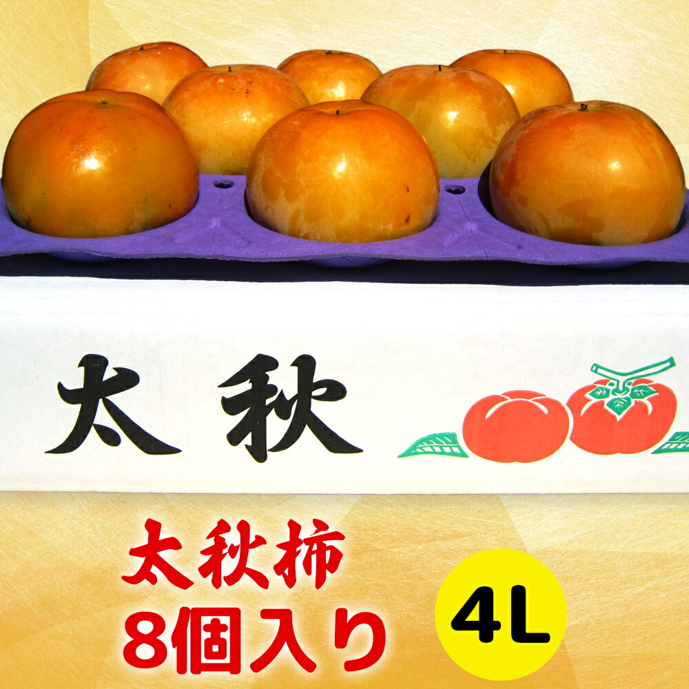 [先行予約] 令和8年産 太秋柿 4Lサイズ 8個入り《2026年10月上旬より発送予定》[1000]｜かき 柿 太秋 フルーツ カキ 果物 くだもの 産地直送 高橋柿ファーム 岐阜県 本巣市 16000円