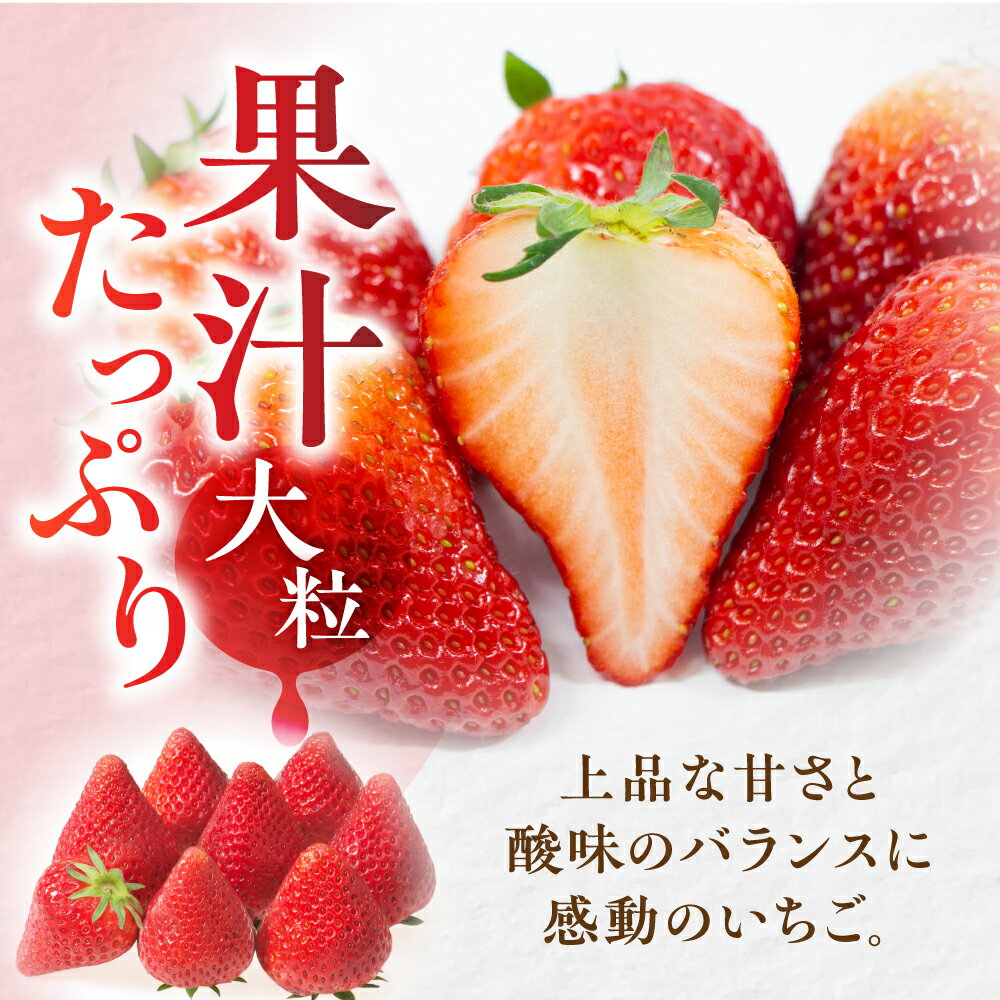 【ふるさと納税】【先行予約】岐阜いちご「華かがり」 12個 1月上旬〜3月下旬に配送｜苺 イチゴ 果物 高級 フルーツ デザート くだもの いちご 大粒 果物 贈答 ギフト 化粧箱 産地直送 高級 全農ぎふ [0815] [mt029] 11000円 サムネイル3