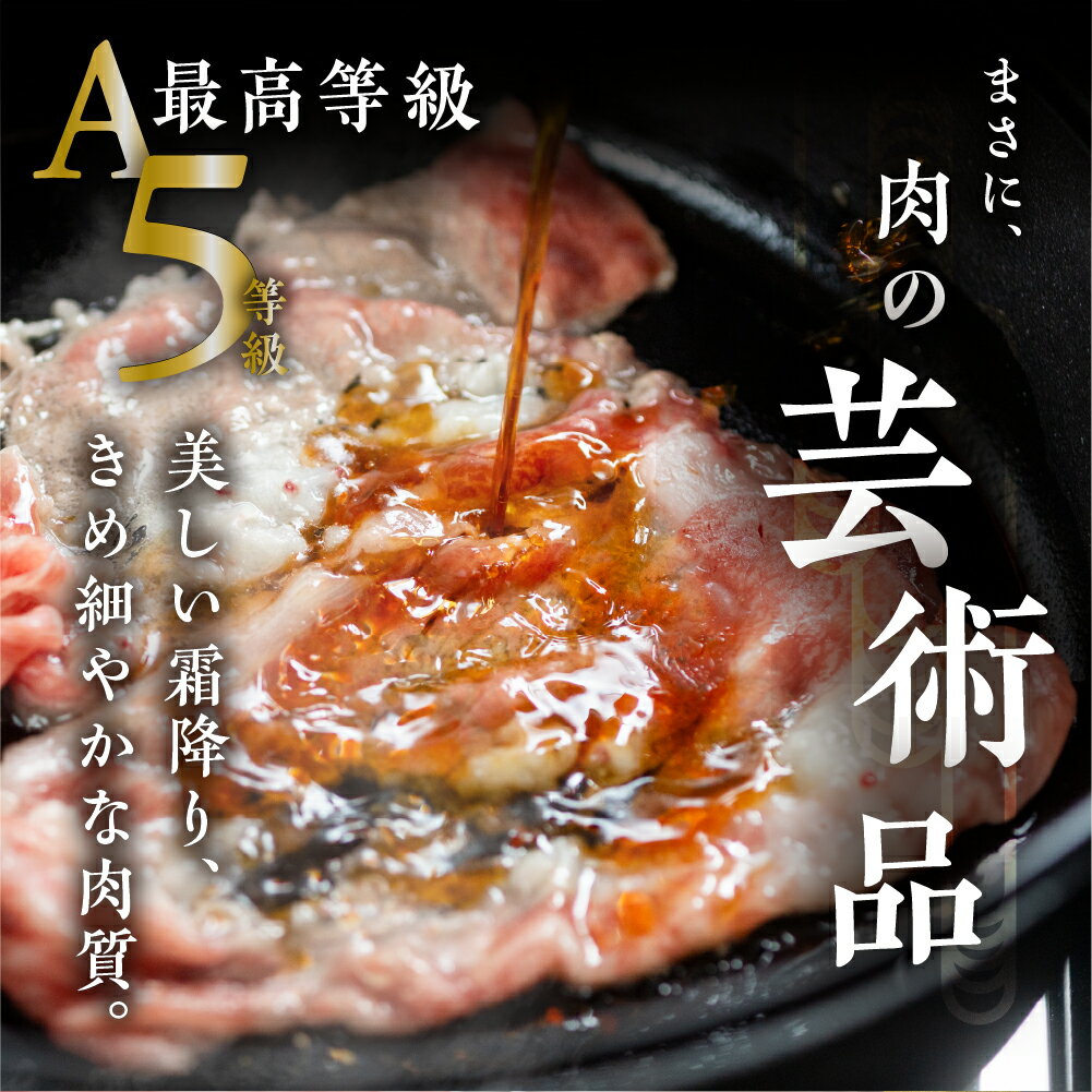 【ふるさと納税】[A5等級] 飛騨牛 霜降り すき焼き ・ しゃぶしゃぶ 用 【ロース400g】or【肩ロース500g】 A5 a5 5等級 飛騨牛 和牛 国産牛 黒毛和牛 牛肉 肉 肩ロース ロース すきやき トキノ屋[0840] 20000円 22000円 サムネイル3