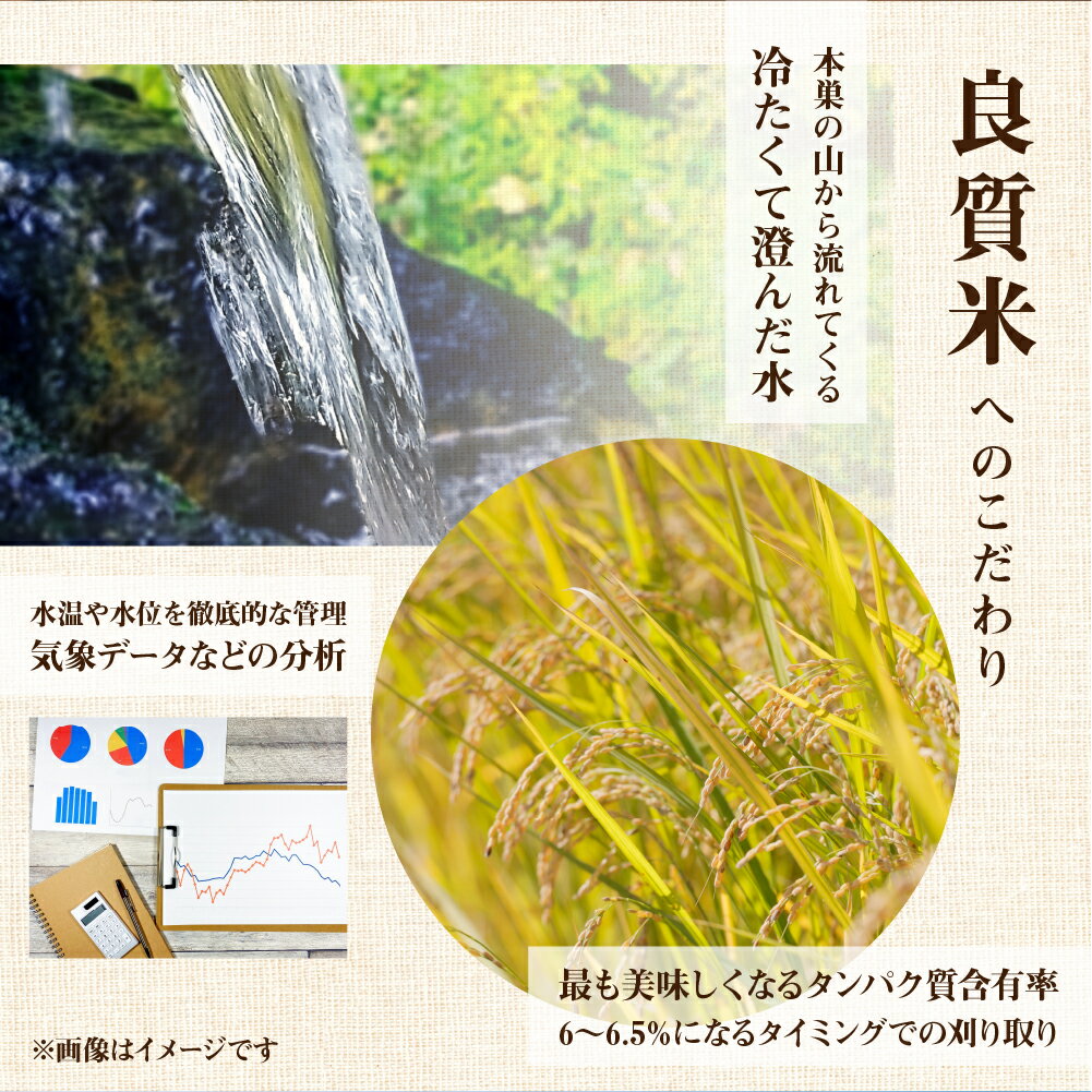 【ふるさと納税】【訳あり】令和7年産 ミルキークイーン 5kg米 こめ ごはん 白米 岐阜県産 本巣市 お米 もっちり 精米 おにぎり 弁当 もちもち 甘い 和食 寿司 アグリード [mt1555] 18000円 古米のため訳あり 訳アリ 数量限定 - 画像3