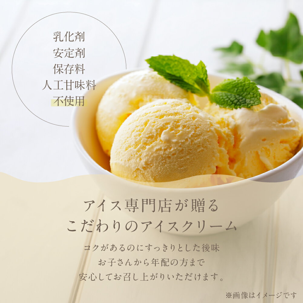 【ふるさと納税】 お届け回数選べる チョコレート アイスクリーム 選べる 1〜2L 業務用 のため 訳あり 訳アリ 大容量 北海道産 純生クリーム 牛乳 国産 岐阜県 本巣市 卵 甘い スイーツ デザート たっぷり コーヒー メロン いちご フロート [mt185] 10000円 20000円 定期便 - 画像2