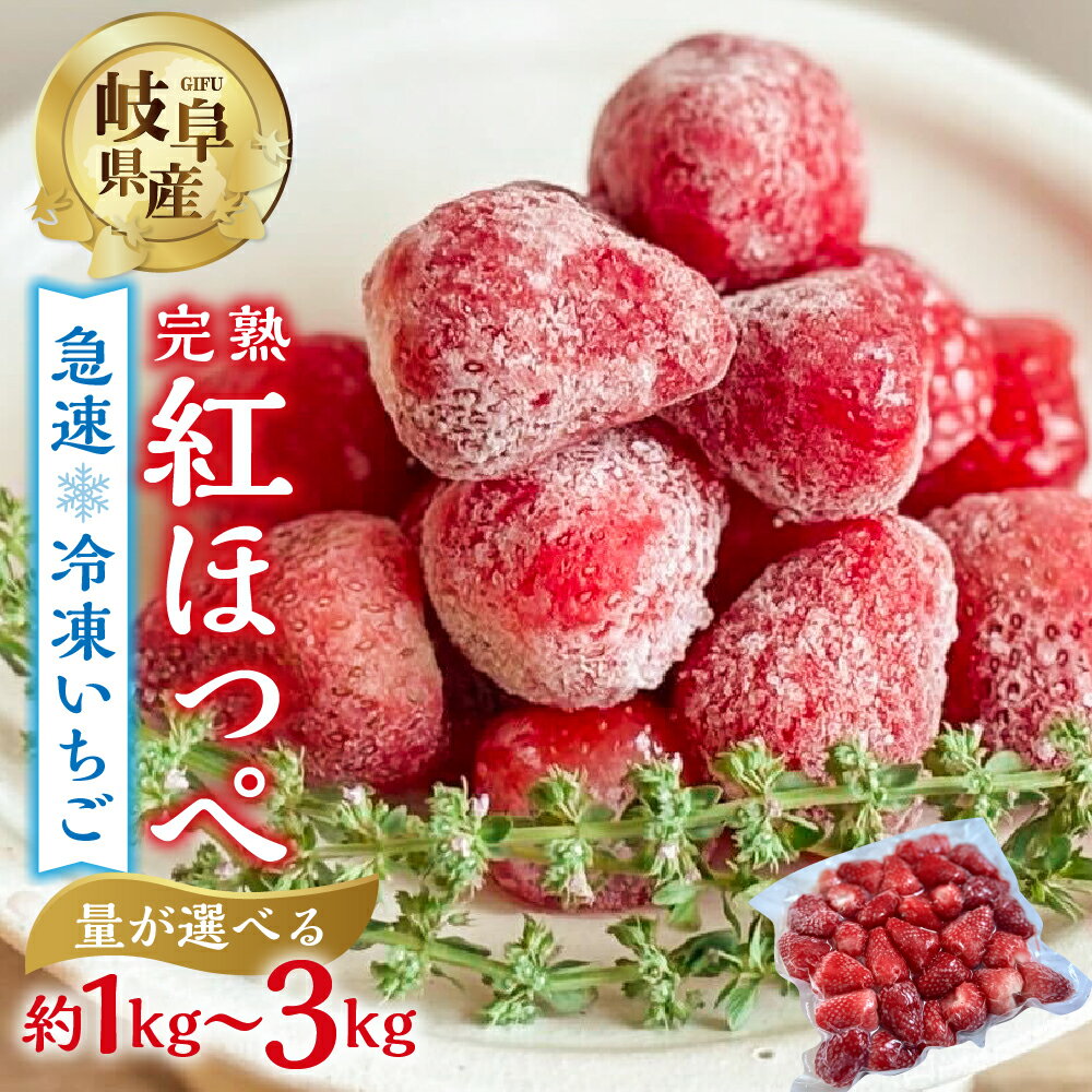【2026年5月発送〜】急速 冷凍いちご 紅ほっぺ 選べる 1kg ~ 3kg (500g × 2p 3p 6p) 簡易梱包 サイズ 不揃い 訳あり 訳アリ フルーツ 果物 苺 いちご イチゴ アイス ヨーグルト family農園 子ども 小分け 家庭 国産 産地直送 8000円 1万 [mt1505] 10000円