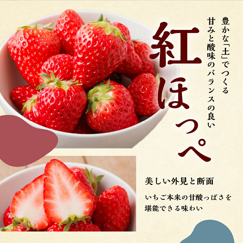 【ふるさと納税】【2026年1月以降発送】 自宅用 いちご 紅ほっぺ 選べる 1kg (250g × 4p) or 2kg [しあわせ苺] サイズ バラバラ 訳あり 訳アリ 農園直送 フルーツ 果物 苺 イチゴ 子ども 大人 人気 小分け 簡易梱包 家庭用 産地直送 先行予約 岐阜 期間限定 [nt524] サムネイル2